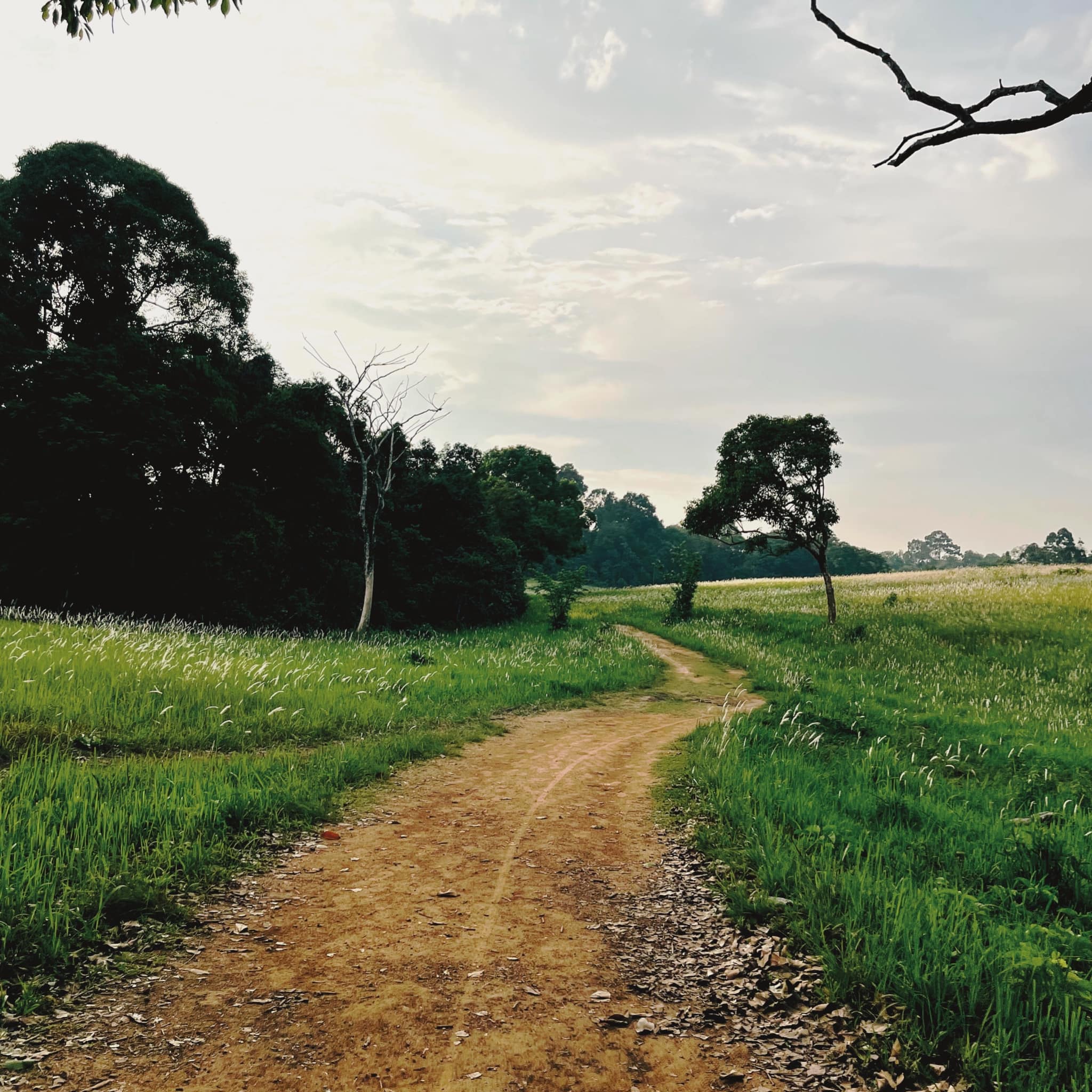 Nature’s Calling.
 ธรรมชาติเรียกหา ได้เวลาเข้าป่ากันอีกแล้วพวกเรา