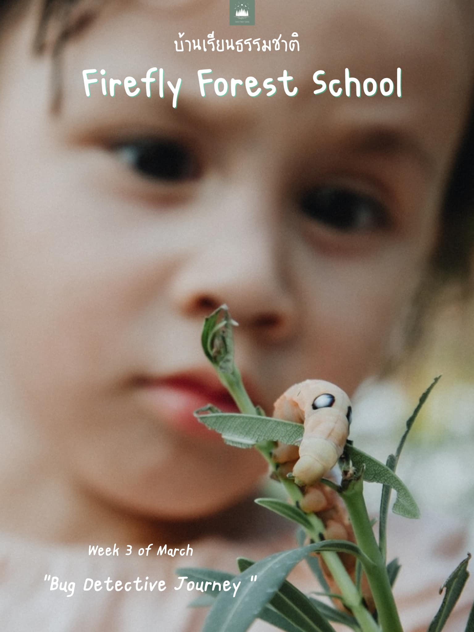 Firefly_Forest_School_Homeschooling_Bug_Detective_Journey_1