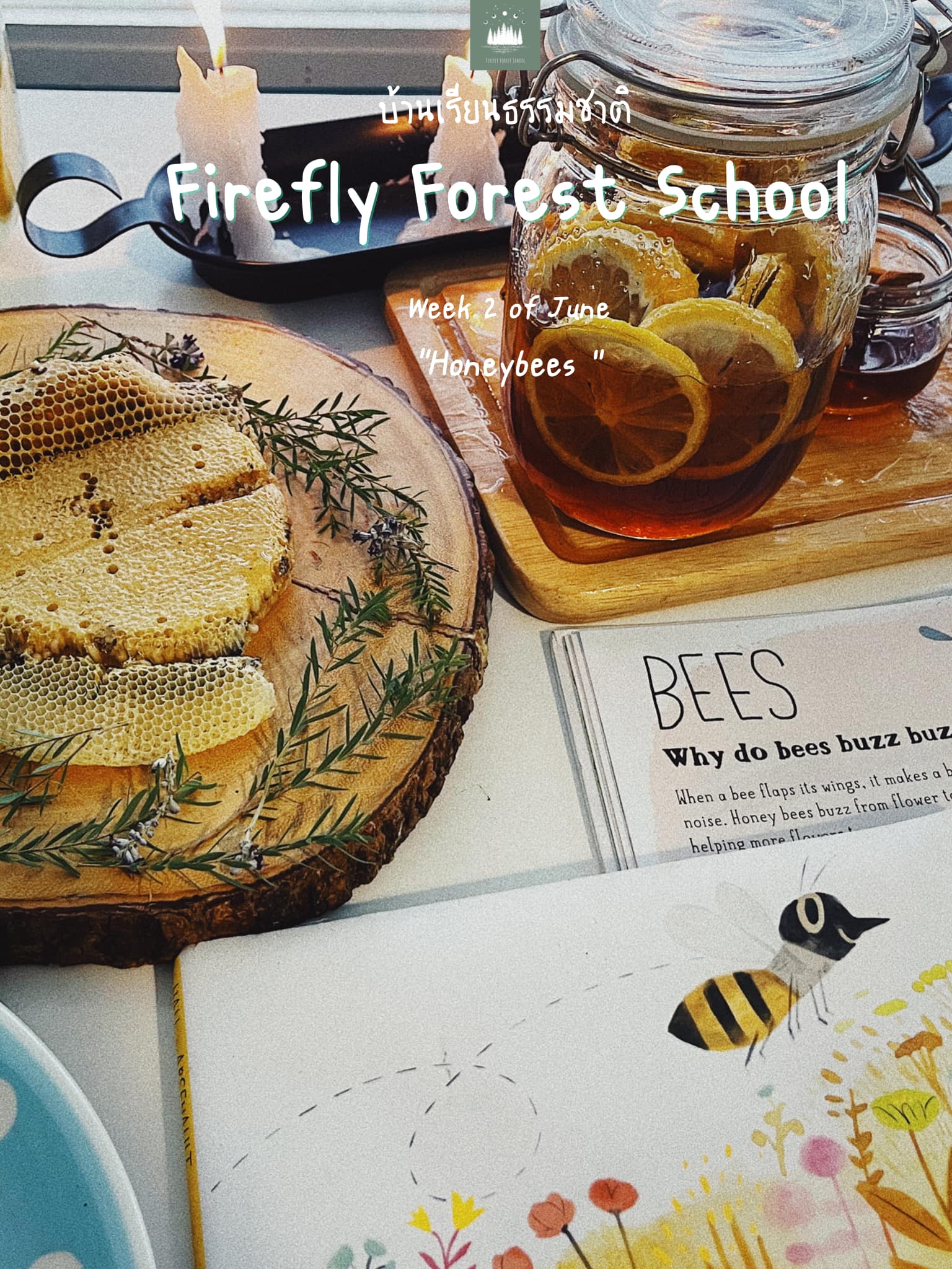 สัปดาห์นี้ของพวกเรา เราเรียนกันเรื่องผึ้งค้าบบ ชวนเพื่อนๆมาทำความรู้จักผึ้งน้อยแ...