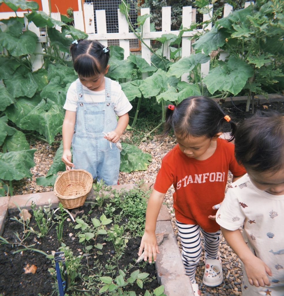 Gardening Activities for Children in Bangkok